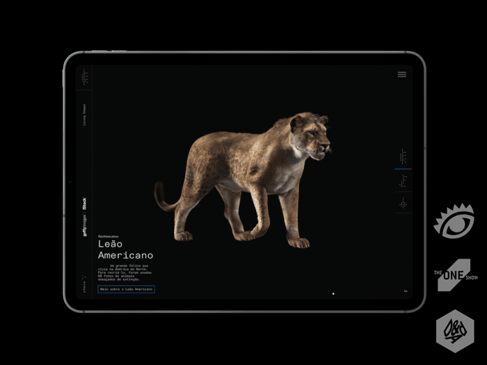 Protegido: 05 – Living Images